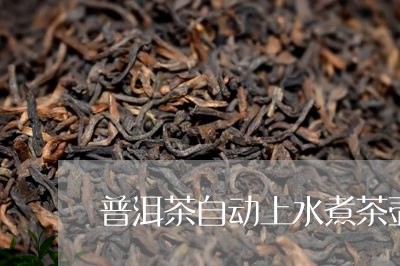 普洱茶自动上水煮茶壶/2023092770402