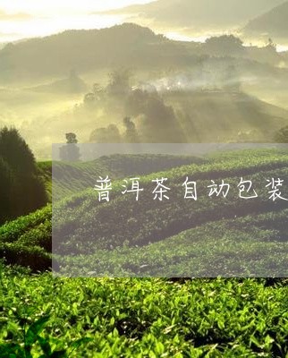 普洱茶自动包装茶饼/2023091492746