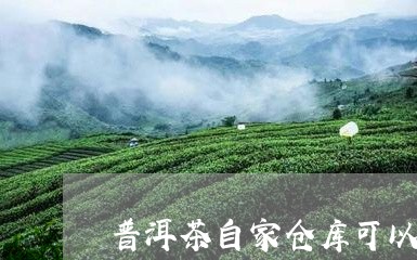 普洱茶自家仓库可以买吗/2023112484025