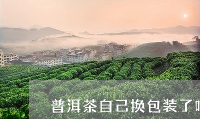 普洱茶自己换包装了吗图片/2023110741706