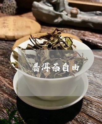 普洱茶自由/2023112677171