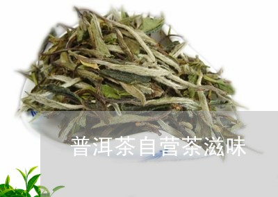 普洱茶自营茶滋味/2023091413937