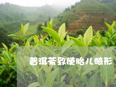 普洱茶致使胎儿畸形/2023062784036