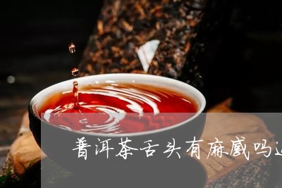 普洱茶舌头有麻感吗还能喝吗/2023052976036