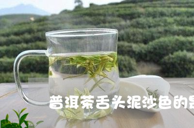 普洱茶舌头泥沙色的是什么茶/2023121723946