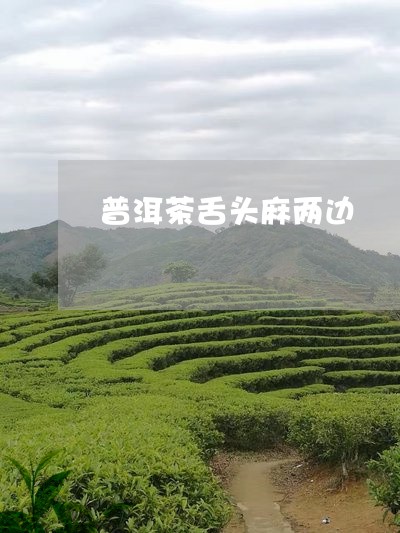 普洱茶舌头麻两边/2023062265048