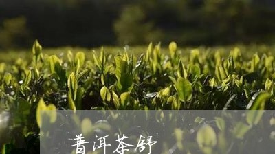 普洱茶舒/2023110810514