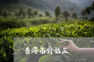 普洱茶舒张压/2023042887468