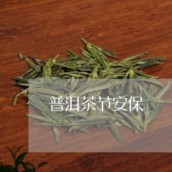 普洱茶节安保/2023042891194