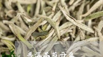 普洱茶节开幕/2023042741827