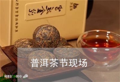 普洱茶节现场/2023042639291