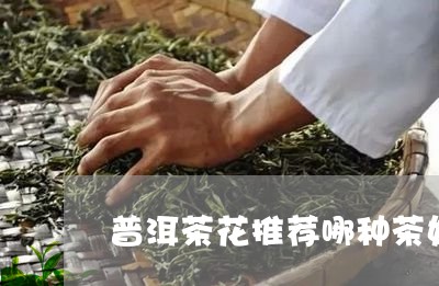 普洱茶花推荐哪种茶好些/2023121798369