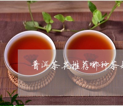 普洱茶花推荐哪种茶好喝/2023110794826