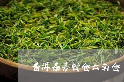 普洱茶芳村仓云南仓/2023062727571