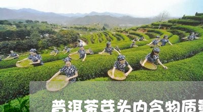 普洱茶芽头内含物质量是多少/2023052853814