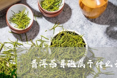 普洱茶芽孢属于什么茶/2023062864949