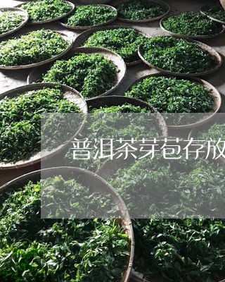 普洱茶芽苞存放几年喝/2023092974060