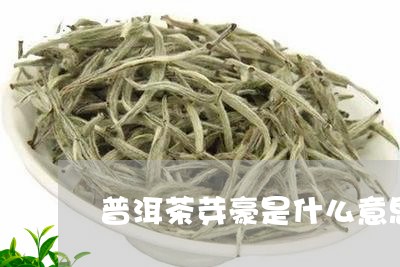 普洱茶芽豪是什么意思/2023092867259