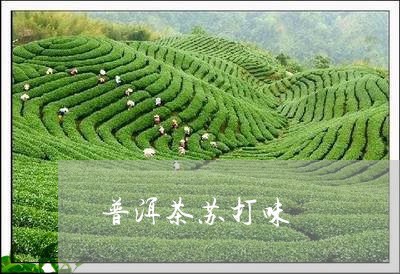 普洱茶苏打味/2023042753019