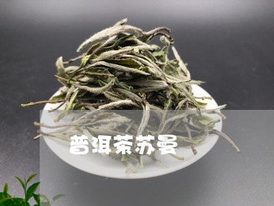 普洱茶苏曼/2023102552828