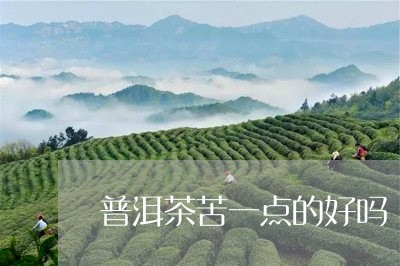 普洱茶苦一点的好吗/2023071100373