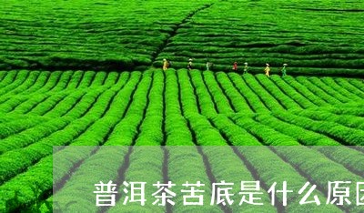 普洱茶苦底是什么原因/2023072230513