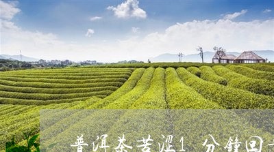 普洱茶苦涩1分钟回甘/2023092780696