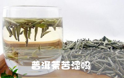 普洱茶苦涩吗/2023042682971