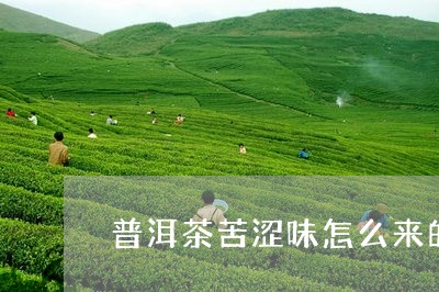 普洱茶苦涩味怎么来的/2023092725958