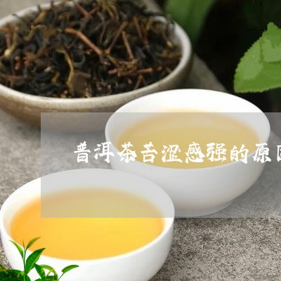 普洱茶苦涩感强的原因/2023072222926