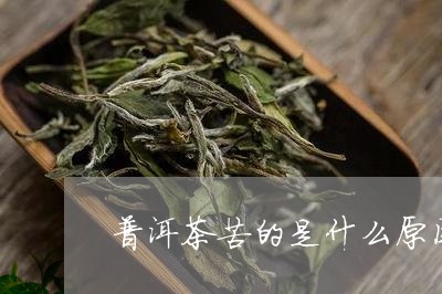 普洱茶苦的是什么原因/2023061624946