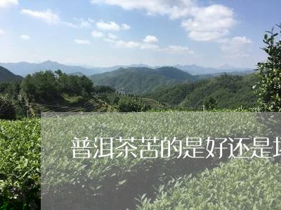 普洱茶苦的是好还是坏/2023092881705