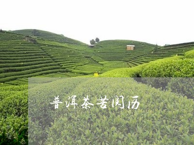 普洱茶苦阅历/2023042714134