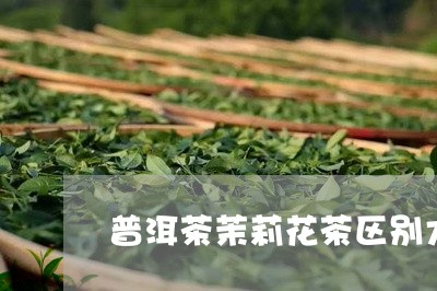 普洱茶茉莉花茶区别大吗/2023102414026