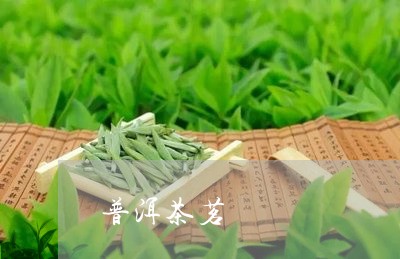 普洱茶茗/2023110863826