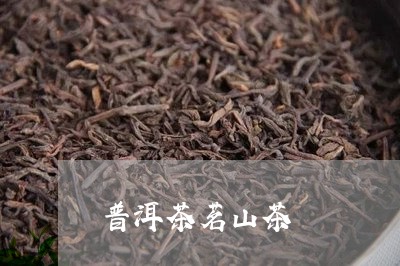 普洱茶茗山茶/2023042619568