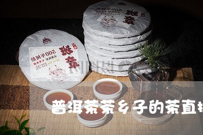 普洱茶茶乡子的茶直播/2023072439481