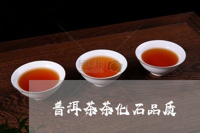 普洱茶茶化石品质/2023091561917