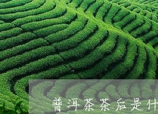 普洱茶茶后是什么茶/2023071028171