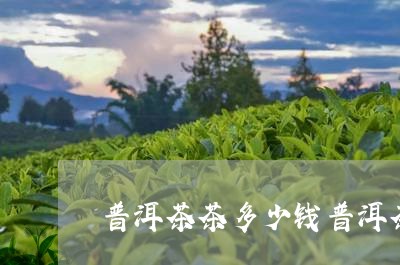 普洱茶茶多少钱普洱茶的价位是多少/2023060352503