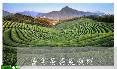 普洱茶茶底倒刺/2023091597169