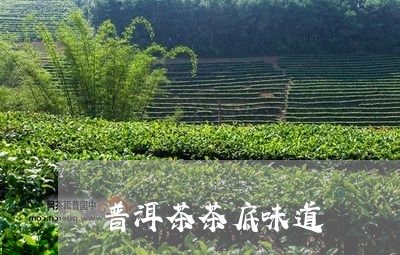 普洱茶茶底味道/2023070985150