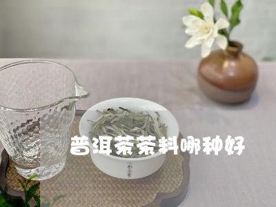 普洱茶茶料哪种好/2023091490716