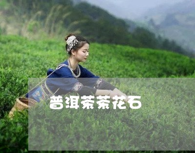 普洱茶茶花石/2023090648806