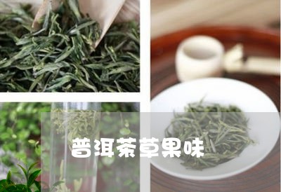 普洱茶草果味/2023042752879