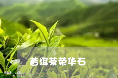 普洱茶荣华石/2023042713271