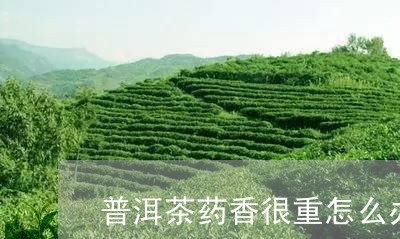 普洱茶药香很重怎么办呢/2023050493935