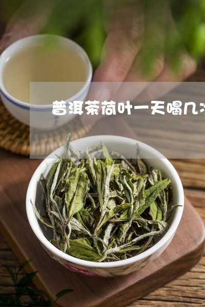 普洱茶荷叶一天喝几次/2023072320592