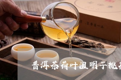 普洱茶荷叶沮明子桃花/2023080353716