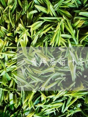 普洱茶荷叶茶功效对比/2023080361703